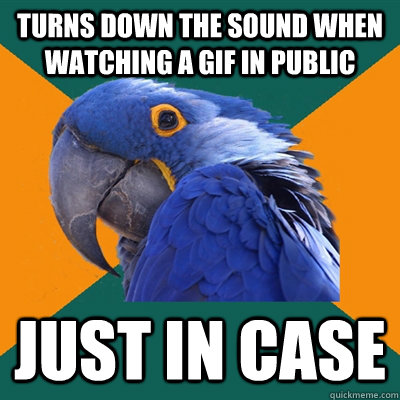 turns down the sound when watching a gif in public just in case  - turns down the sound when watching a gif in public just in case   Paranoid Parrot