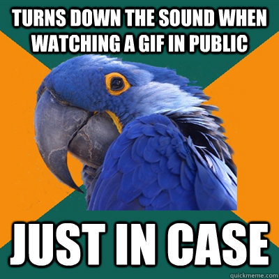 turns down the sound when watching a gif in public just in case   Paranoid Parrot
