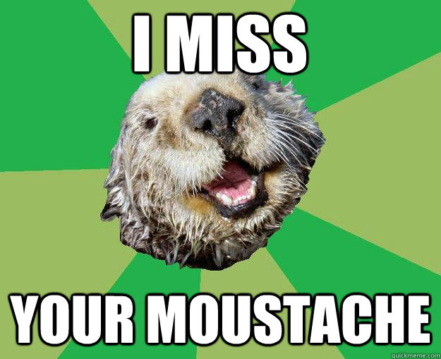 I Miss Your moustache  OCD Otter