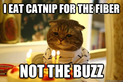 I eat catnip for the fiber not the buzz - I eat catnip for the fiber not the buzz  Middle Aged Cat