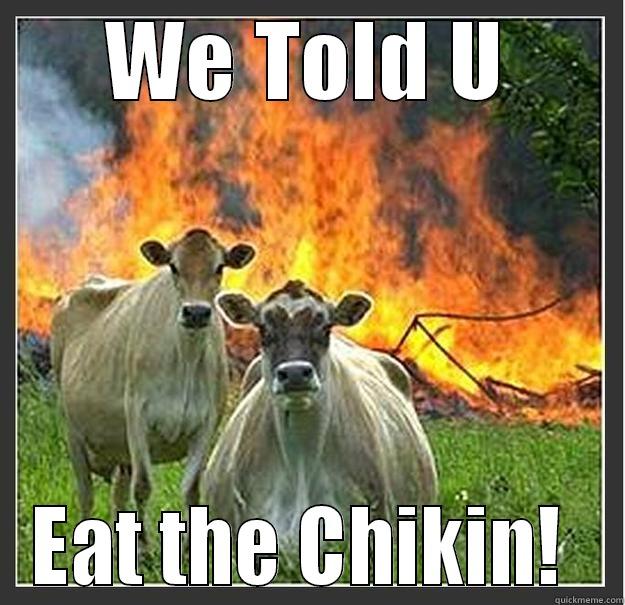 WE TOLD U EAT THE CHIKIN!  Evil cows