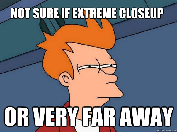 Not sure if extreme closeup Or very far away  Futurama Fry