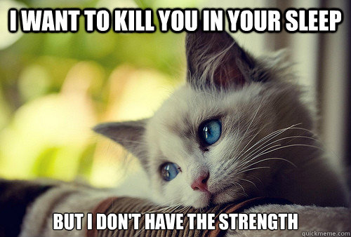 I want to kill you in your sleep but i don't have the strength   First World Problems Cat