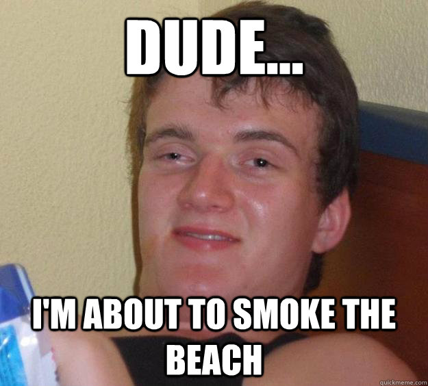 Dude... I'm about to smoke the beach  10 Guy