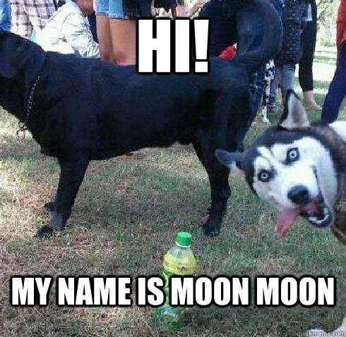 Hi! My name is Moon Moon  