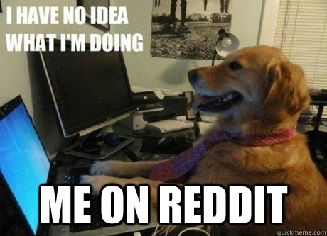  me on reddit -  me on reddit  I have no idea what Im doing dog