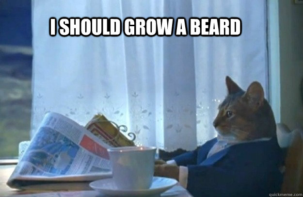 I should grow a beard - I should grow a beard  Sophisticated Cat