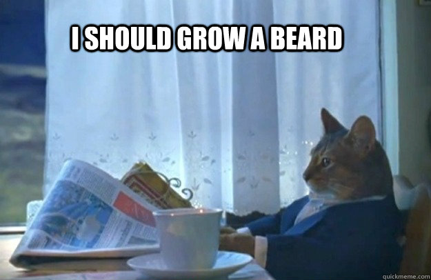 I should grow a beard  Sophisticated Cat