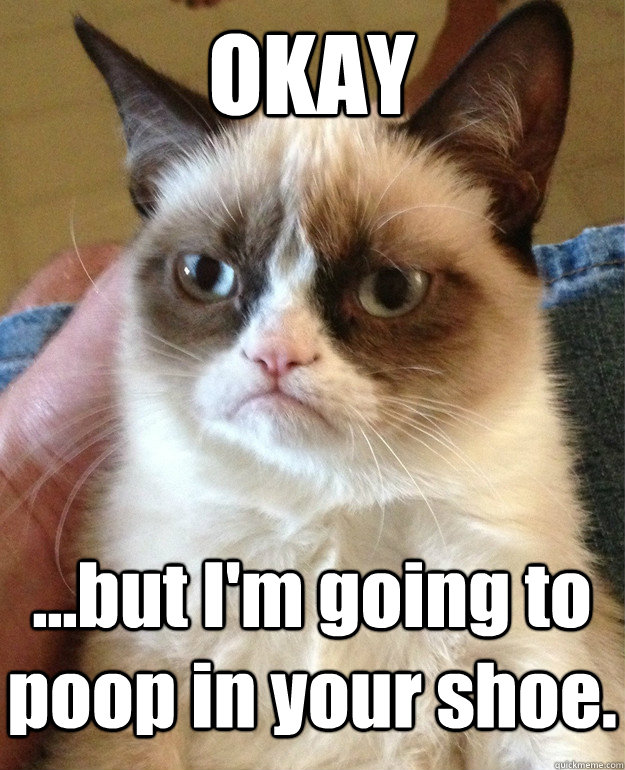 OKAY ...but I'm going to poop in your shoe.  Grumpy Cat
