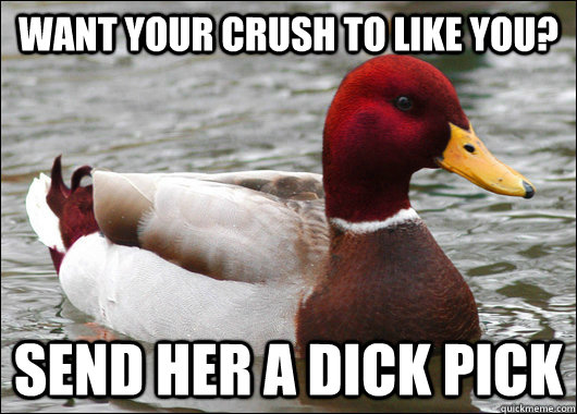 Want your crush to like you? send her a dick pick  Malicious Advice Mallard