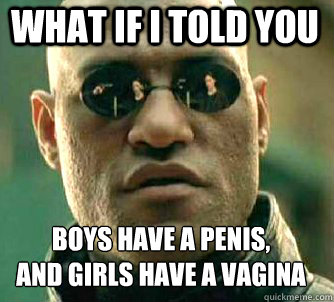 what if i told you Boys have a penis,
and girls have a vagina - what if i told you Boys have a penis,
and girls have a vagina  Matrix Morpheus