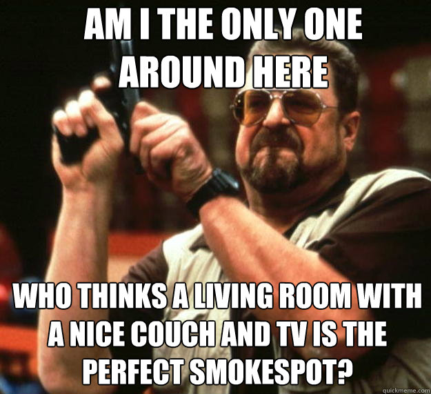 Am I the only one around here who thinks a living room with a nice couch and tv is the perfect smokespot?  Angry Walter