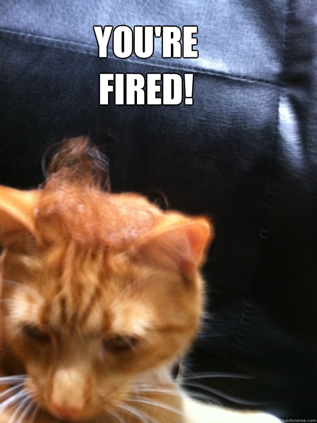 You're Fired!  