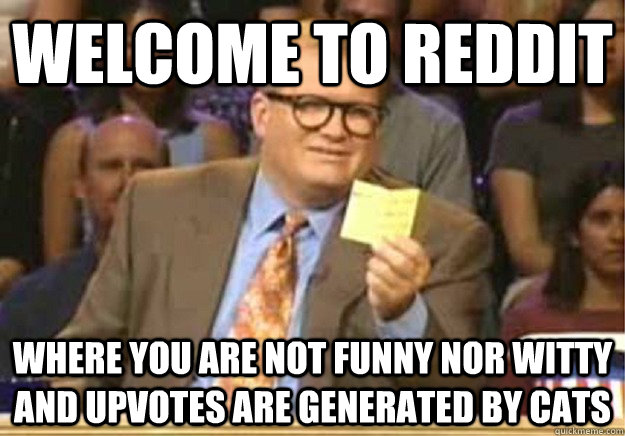 Welcome to reddit Where you are not funny nor witty and upvotes are generated by cats  Welcome to