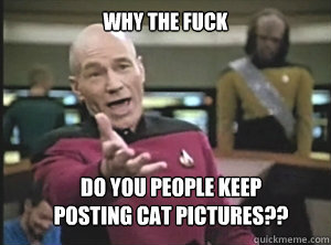 why the fuck do you people keep 
posting cat pictures??  Annoyed Picard