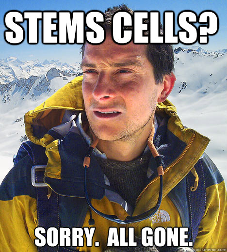 Stems cells? Sorry.  All gone. - Stems cells? Sorry.  All gone.  Bear Grylls IU meme