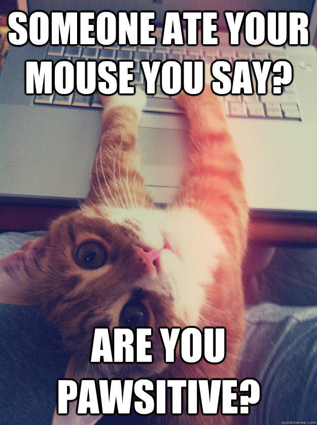 Someone ate your mouse you say? Are you pawsitive?  Programmer Cat