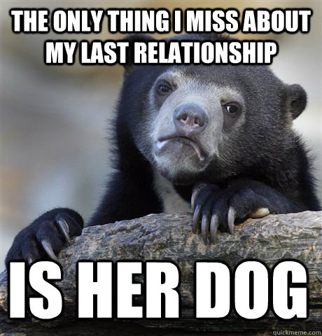 The only thing I miss about my last relationship Is her dog  Confession Bear