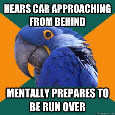 Hears car approaching from behind  Mentally prepares to be run over  Paranoid Parrot