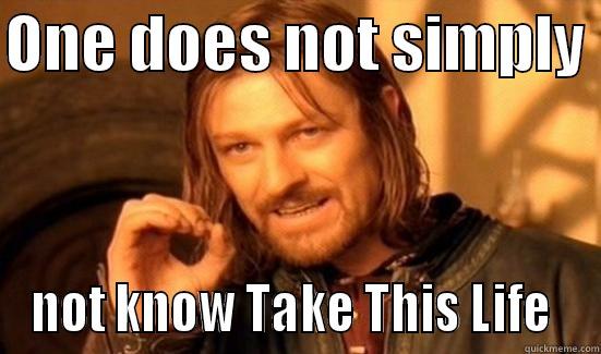 ONE DOES NOT SIMPLY  NOT KNOW TAKE THIS LIFE  Boromir