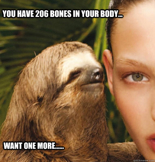 You have 206 bones in your body... want one more...... - You have 206 bones in your body... want one more......  slothawesomw