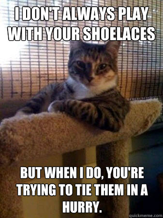 I don't always play with your shoelaces but when I do, you're trying to tie them in a hurry.  The Most Interesting Cat in the World