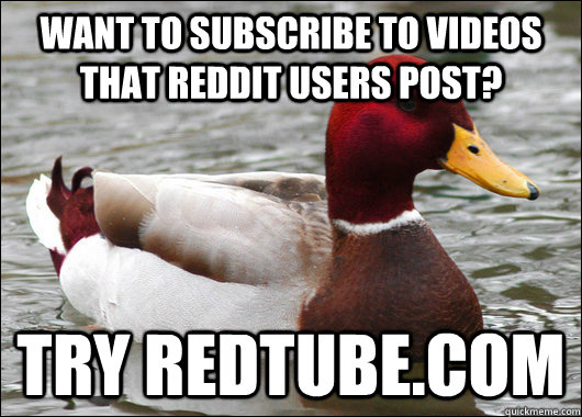 WANT TO SUBSCRIBE TO VIDEOS THAT REDDIT USERS POST? TRY REDTUBE.COM - WANT TO SUBSCRIBE TO VIDEOS THAT REDDIT USERS POST? TRY REDTUBE.COM  Malicious Advice Mallard