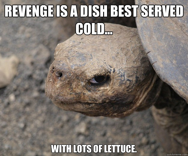 Revenge is a dish best served cold... with lots of lettuce. - Revenge is a dish best served cold... with lots of lettuce.  Insanity Tortoise