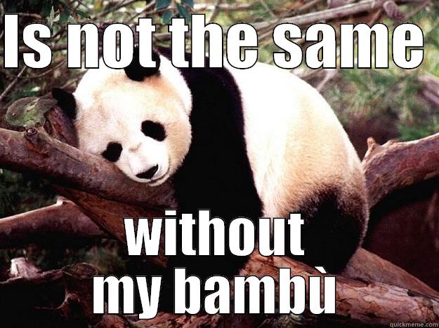 IS NOT THE SAME  WITHOUT MY BAMBÙ Procrastination Panda