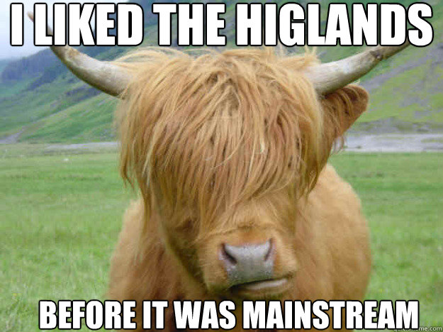 I liked the higlands Before it was mainstream - I liked the higlands Before it was mainstream  Hipster Cow