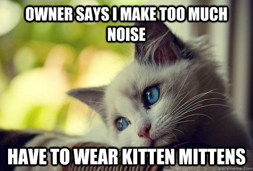 owner says i make too much noise have to wear kitten mittens  First World Problems Cat