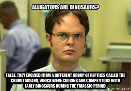 Alligators are dinosaurs? False. They evolved from a different group of Reptiles called the Crurotarsans, which were cousins and competitors with early Dinosaurs during the Triassic period.  Dwight False