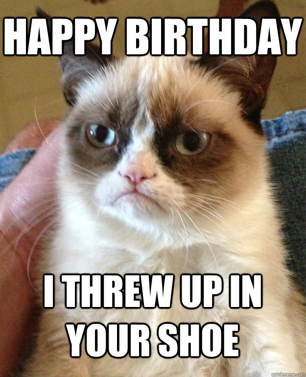 Happy Birthday I threw up in your shoe - Happy Birthday I threw up in your shoe  Grumpy Cat