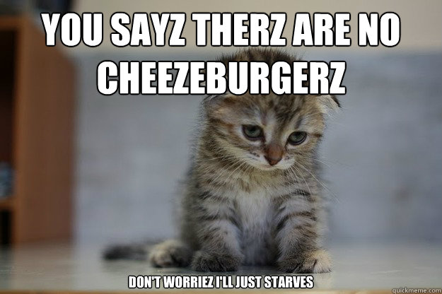 YOU SAYZ THERZ ARE NO CHEEZEBURGERZ  DON'T WORRIEZ I'LL JUST STARVES   Sad Kitten