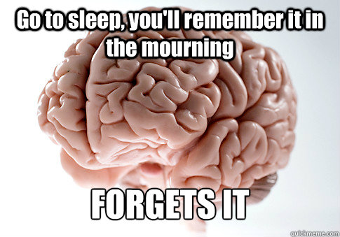 Go to sleep, you'll remember it in the mourning FORGETS IT  Scumbag Brain