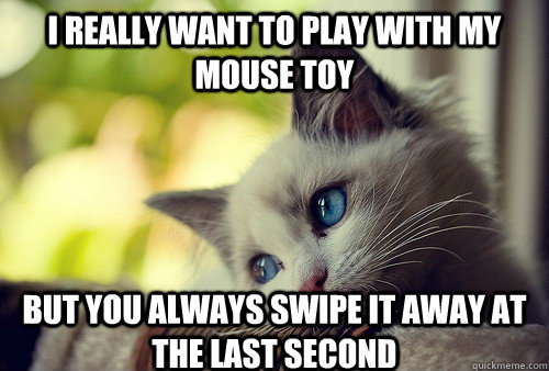 I really want to play with my mouse toy but you always swipe it away at the last second  First World Problems Cat