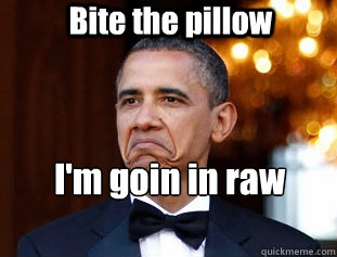 Bite the pillow I'm goin in raw tonight - Bite the pillow I'm goin in raw tonight  Not Bad Obama