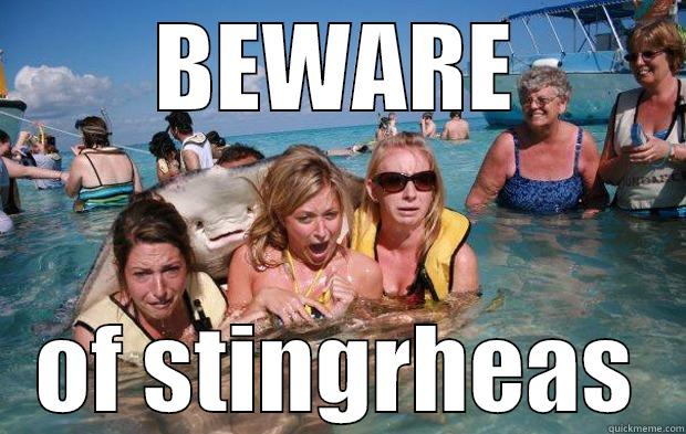 BEWARE OF STINGRHEAS Misc