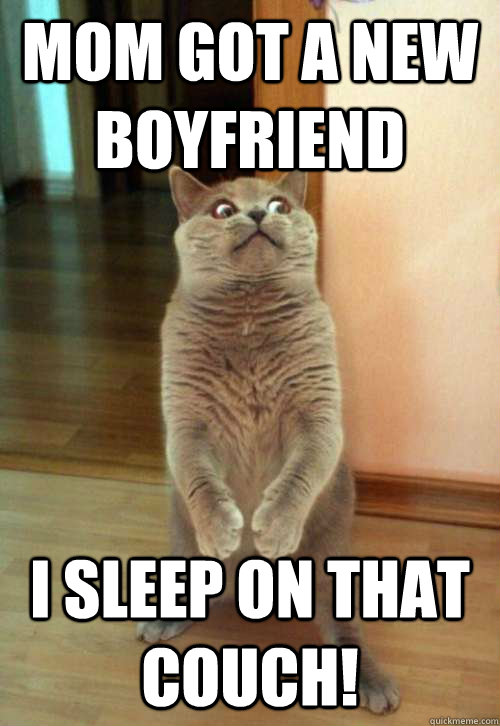 Mom got a new boyfriend I sleep on that couch!  Horrorcat
