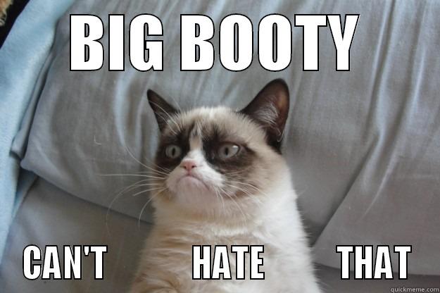 BIG BOOTY CAN'T             HATE           THAT Grumpy Cat