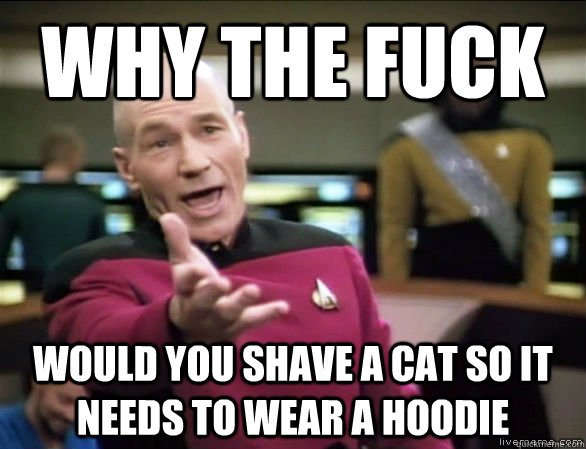 Why the fuck would you shave a cat so it needs to wear a hoodie  Annoyed Picard HD