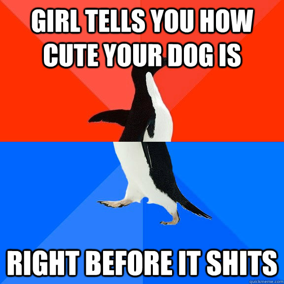 girl tells you how cute your dog is right before it shits  Socially Awesome Awkward Penguin