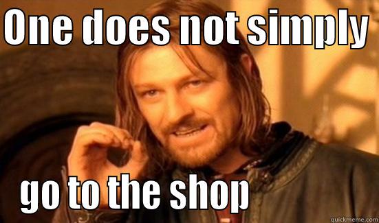ONE DOES NOT SIMPLY  GO TO THE SHOP                Boromir
