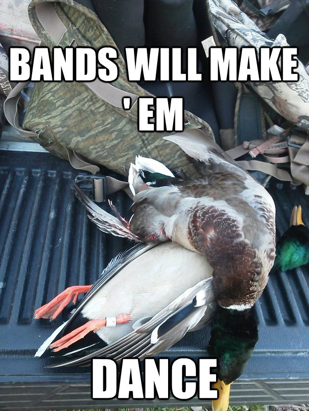 Bands Will Make ' Em Dance  duck