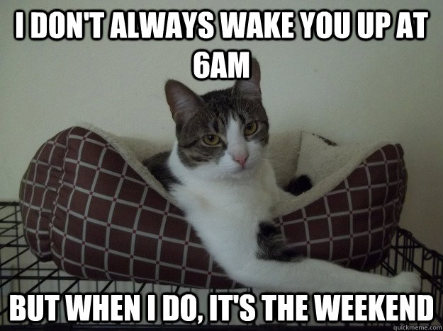 I don't always wake you up at 6am but when I do, it's the weekend - I don't always wake you up at 6am but when I do, it's the weekend  Most interesting cat in the world