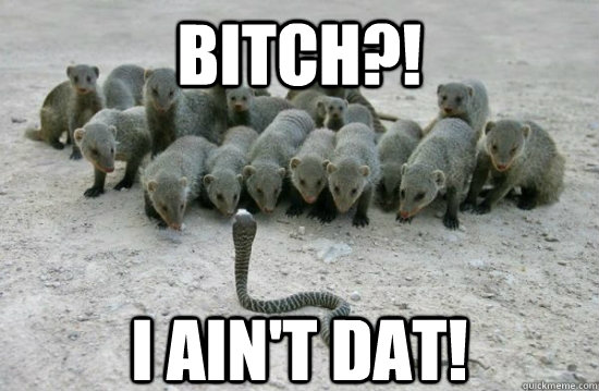 bitch?! i ain't dat!  Aint no bitch