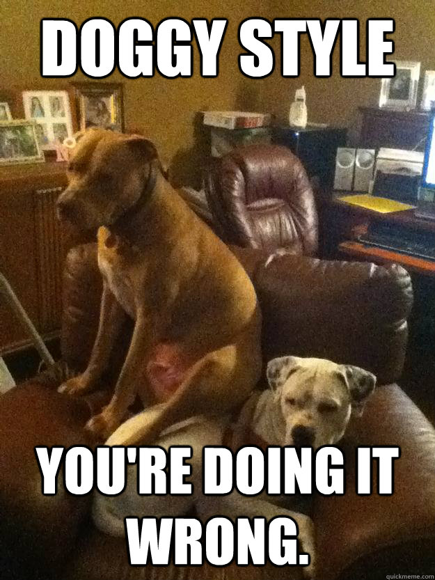 DOGGY STYLE you're doing it wrong. - DOGGY STYLE you're doing it wrong.  Sexually Confused Dogs