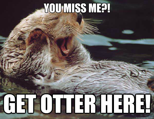 You miss me?!  get otter here! - You miss me?!  get otter here!  Otter advice