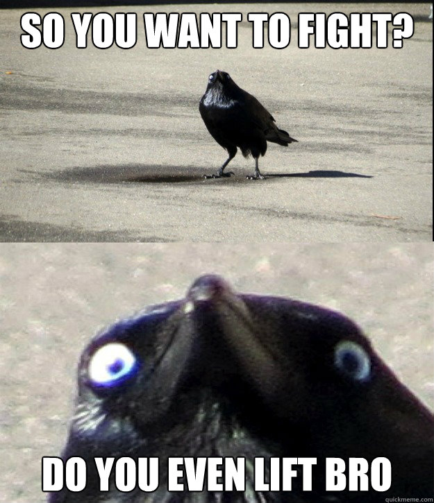 So you want to fight? DO YOU EVEN LIFT BRO
  Insanity Crow