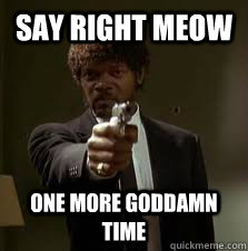 Say right meow One more goddamn time  Pulp Fiction meme